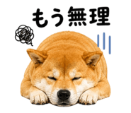 843692892