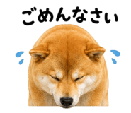 843692893