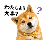 843692895