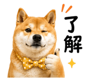 843692896
