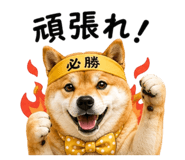 843692897