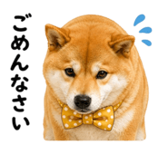 843692898