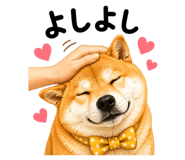 843692902