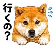 843692904