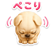 843695088