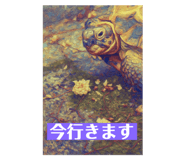 843706882