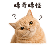 843707923