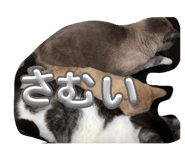 843707954