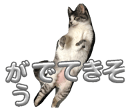843707958