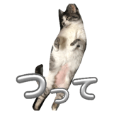 843707959
