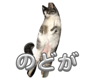 843707960