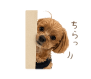 843708100