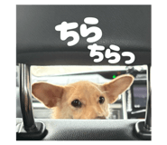 843708155