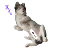 843708196