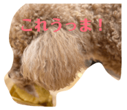 843708244