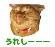 843708527