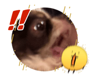 843708756