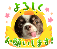 843708767