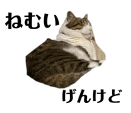 843708855