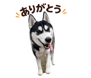 843708893