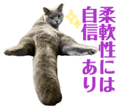 843709573