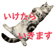 843709579