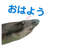 843711377