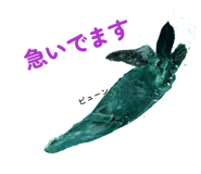 843711380