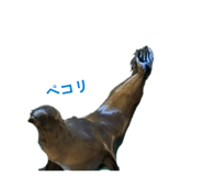 843711384