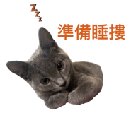 843712165