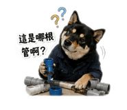 843713304