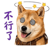 843713374