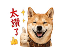 843713378