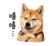 843713383