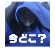 843713851