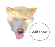 843713867