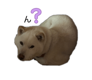843713873