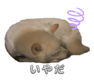 843713878
