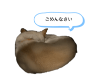 843713879