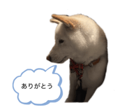 843713881