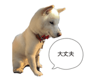 843713884