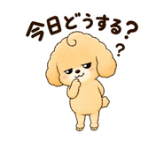843714449