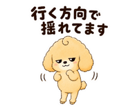 843714455