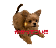 843714895
