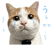 843714899