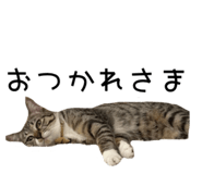 843714929