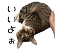 843714931