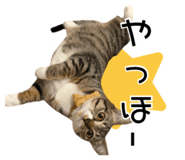 843714932