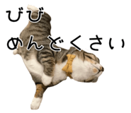 843714933