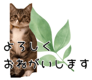 843714934